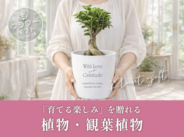 植物・観葉植物