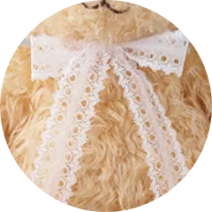 ふわふわな毛並み