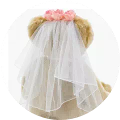 ティアラとベール