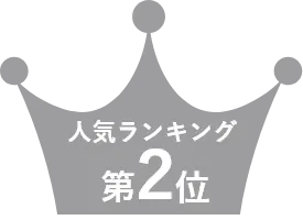 人気ランキング第2位