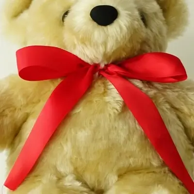 レッドのリボン