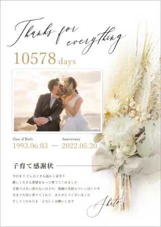  シャルムドブーケシルバーデイジー