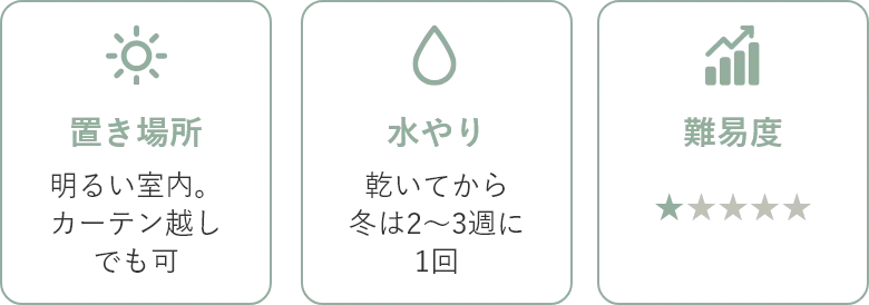 置き場所：明るい室内。カーテン越しでも可 水やり：乾いてから冬は2～3週に1回 難易度；1