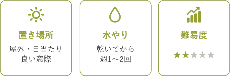 置き場所：屋外・日当たり良い窓際 水やり：乾いてから週1～2回 難易度：2