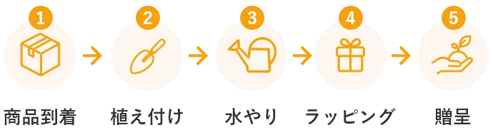 1.商品到着 2.植え付け 3.水やり 4.ラッピング 5.贈呈