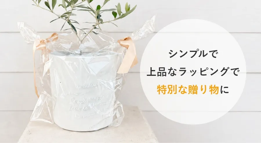 ラッピングイメージ：シンプルで上品なラッピングで特別な贈り物に