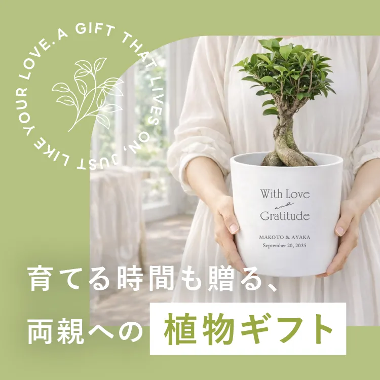 育てる時間も贈る、両親への植物ギフト