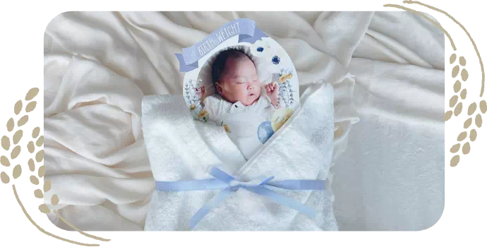 体重米手作りキット