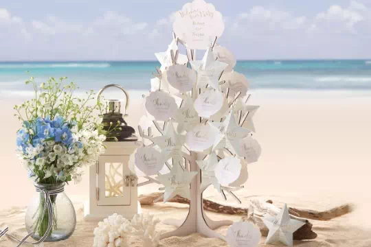 夏婚向けプチギフト