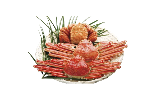 食品の鮮度が心配