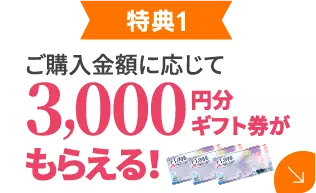 3,000円分ギフト券が貰える！