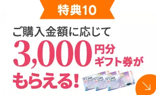 3,000円分ギフト券が貰える！
