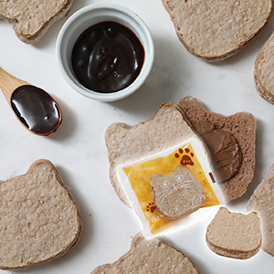 【送料無料】にゃんともおいしいダックワーズ チョコ