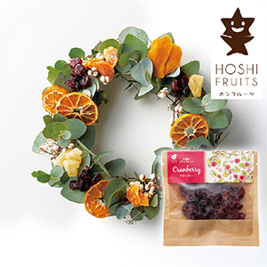 【送料無料】ホシフルーツ 太陽のドライフルーツ クランベリー