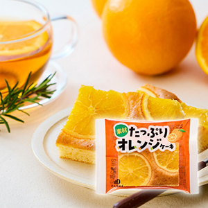 【送料無料】中島大祥堂 素材たっぷりオレンジケーキ