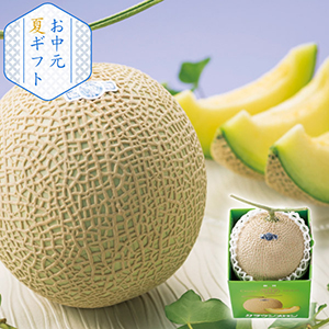【送料無料】静岡 クラウン印 温室マスクメロン 1玉