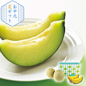 【送料無料】山形県産庄内メロン2玉（青肉）