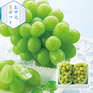 【送料無料】シャインマスカット 2房