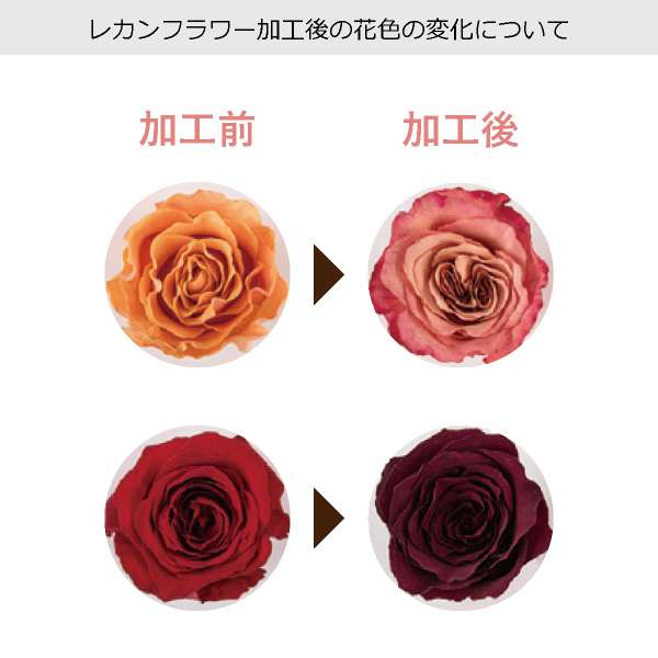 レカンフラワー レカンフラワー RCホワイトボックス 送料無料|結婚式 ウェルカム