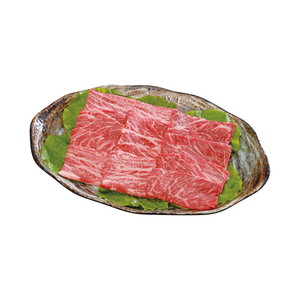 【送料無料】岐阜県産 飛騨牛 焼肉