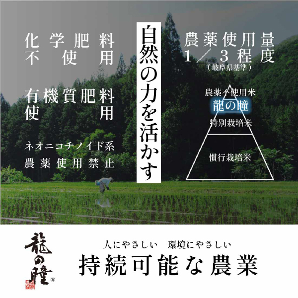 岐阜県産龍の瞳3kg Amazon.co.jp: 【精米】岐阜県産 龍の瞳 3kg 令和6年産 : 食品