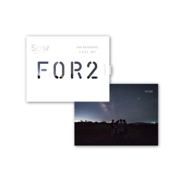 SOW EXPERIENCE カタログギフト【50000円コース】FOR2ギフト（SILVER）