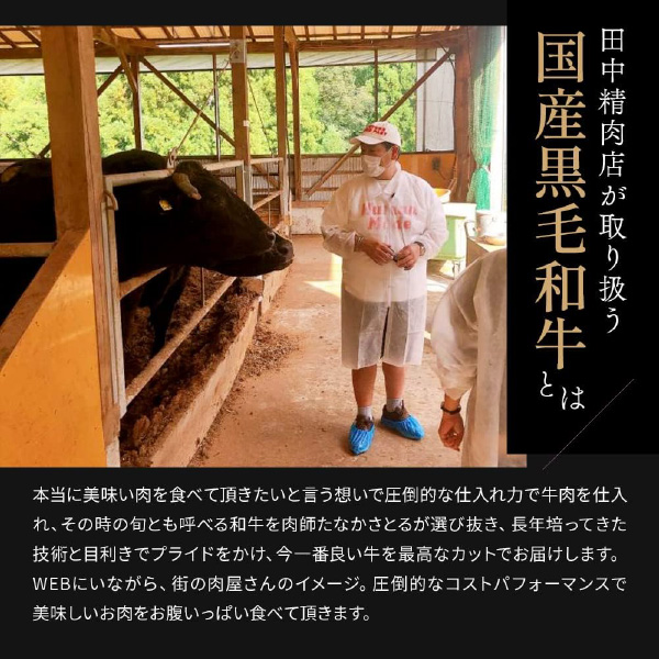 雪月花サイト掲載例3