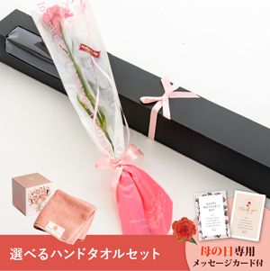 【送料無料】母の日フラワーギフト アイネ 選べるハンドタオルセット