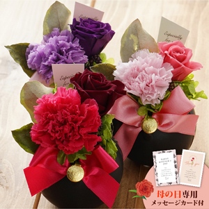 母の日フラワーギフト エデル