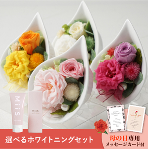 【送料無料】母の日フラワーギフト マリー 選べるホワイトニングセット