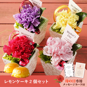 【送料無料】母の日フラワーギフト ポエム さっちん工房 レモンケーキ2個セット