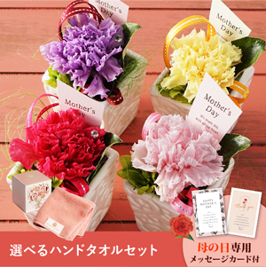 【送料無料】母の日フラワーギフト ポエム 選べるハンドタオルセット