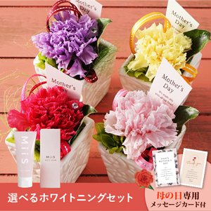 【送料無料】母の日フラワーギフト ポエム 選べるホワイトニングセット