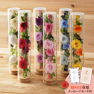 母の日フラワーギフト ロゼー