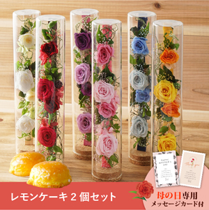 【送料無料】母の日フラワーギフト ロゼー さっちん工房 レモンケーキ2個セット