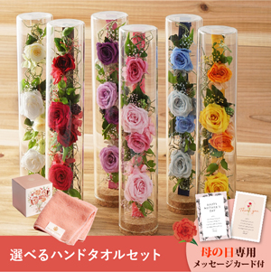【送料無料】母の日フラワーギフト ロゼー 選べるハンドタオルセット
