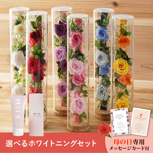 【送料無料】母の日フラワーギフト ロゼー 選べるホワイトニングセット