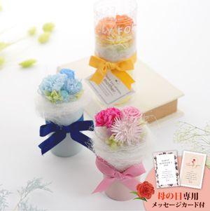 母の日フラワーギフト チェリッシュ