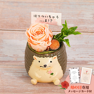 母の日フラワーギフト つぶやくZOO