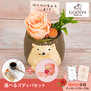 【送料無料】母の日フラワーギフト つぶやくZOO 選べるゴディバとコーヒーセット