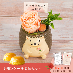 【送料無料】母の日フラワーギフト つぶやくZOO さっちん工房 レモンケーキ2個セット