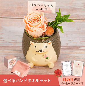【送料無料】母の日フラワーギフト つぶやくZOO 選べるハンドタオルセット
