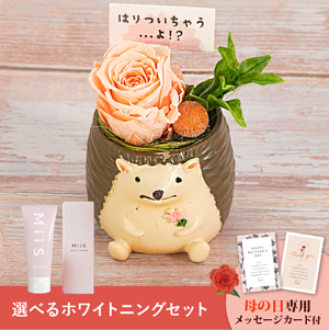【送料無料】母の日フラワーギフト つぶやくZOO 選べるホワイトニングセット