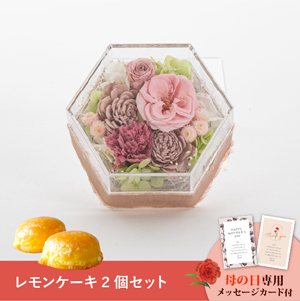 【送料無料】母の日フラワーギフト ミュー さっちん工房 レモンケーキ2個セット