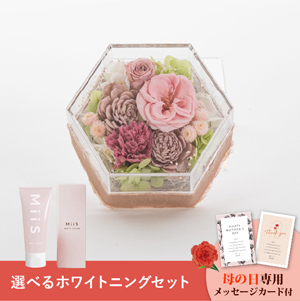 【送料無料】母の日フラワーギフト ミュー 選べるホワイトニングセット