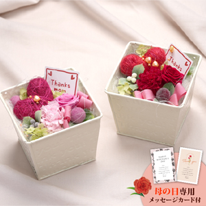 母の日フラワーギフト フェアリーハート