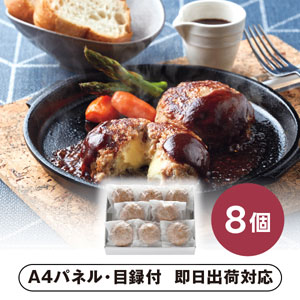 宮崎県産合挽き肉のチーズ入り生ハンバーグ【パネル・目録付】