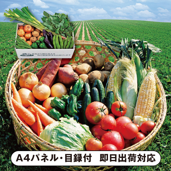 千葉県産　旬の有機野菜セット【パネル・目録付】|景品ならPIARY（ピアリー）