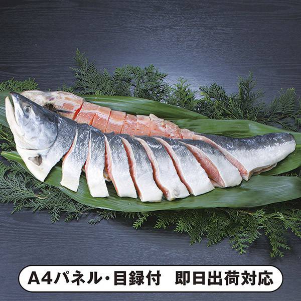 北海道産銀毛新巻鮭姿切身　1.4kg【パネル・目録付】|景品ならPIARY（ピアリー）