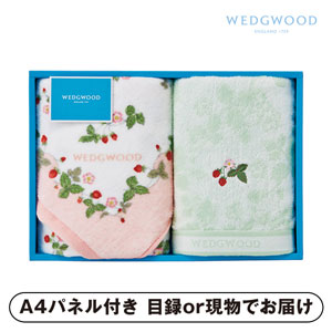 ウェッジウッド フェイスタオル2P（ピンク）【パネル・目録付】